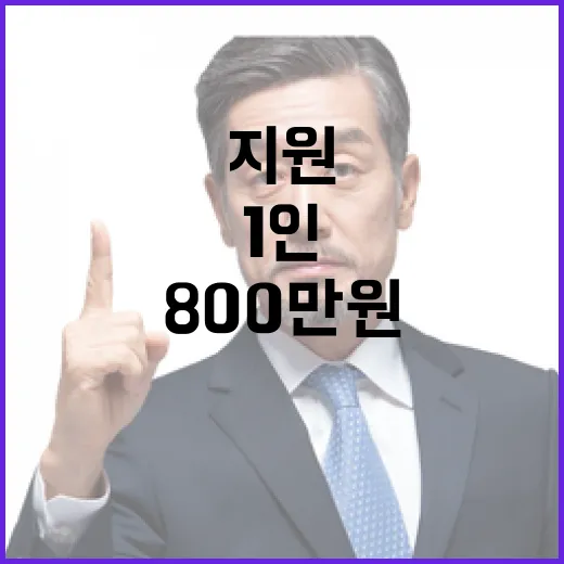 귀환납북자 지원 예산 3배 증가! 1인 800만 원!