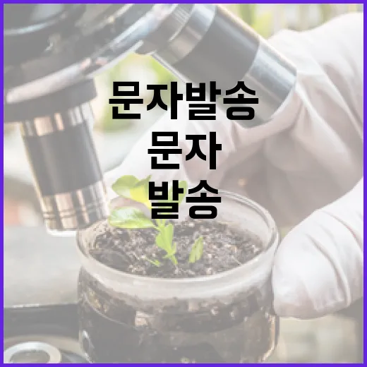 눈 내리는 날 안내…