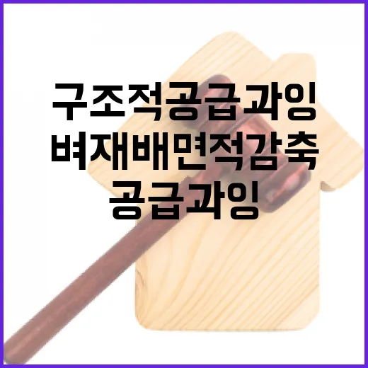 가루쌀 쌀 안정성과 육성책의 비밀 공개!