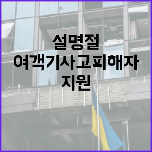 여객기 사고 피해자 설 명절 지원 11 가동!