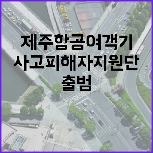 사고 피해자 지원단 제주항공 여객기 20일 출범!