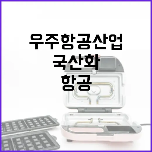 우주항공산업 올해 국산화로 혁신적 변화 예고!