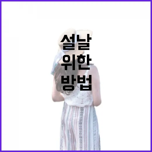 설날 최고의 즐거움을 위한 준비 방법 공개!