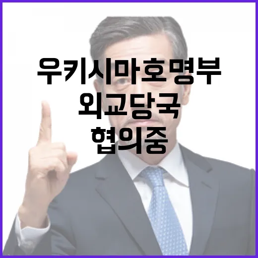 우키시마호 명부 외교당국 협의 중 사실 공개!