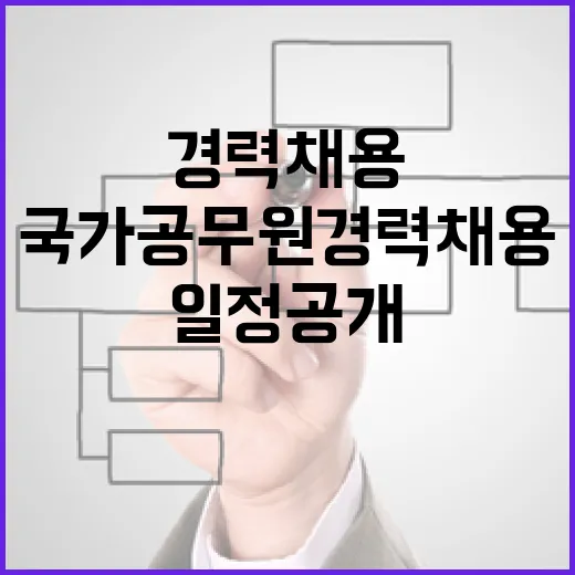 국가공무원 경력채용…