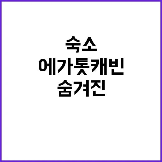 에가톳 캐빈