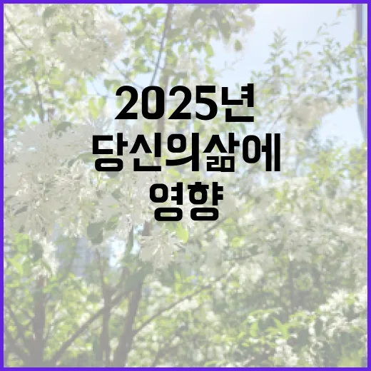 2025년 변화 당신의 삶에 미칠 영향은?