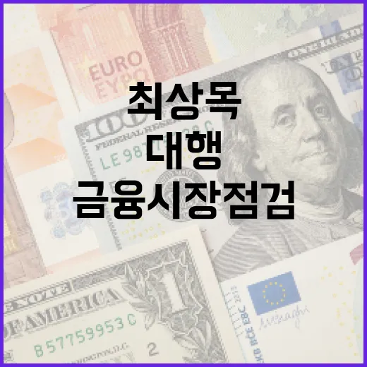 금융시장 점검체계 최상목 권한대행의 당부!