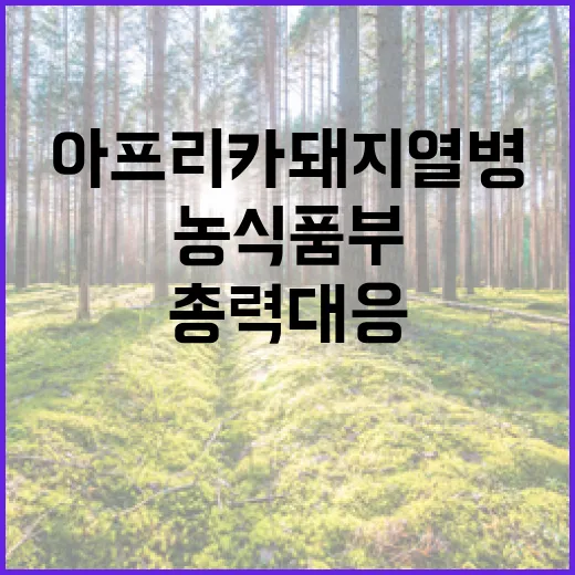 아프리카돼지열병 발생…농식품부 총력 대응 중!