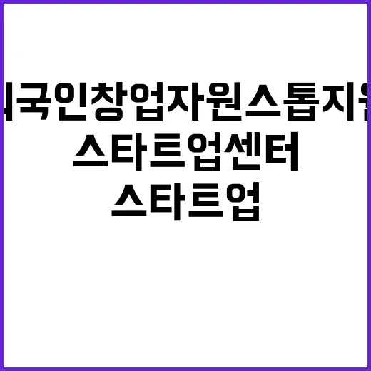 스타트업 센터, 외…