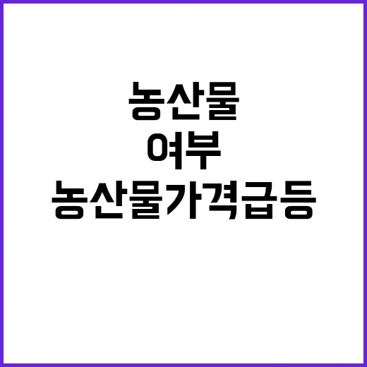 폭염, 농산물 가격…