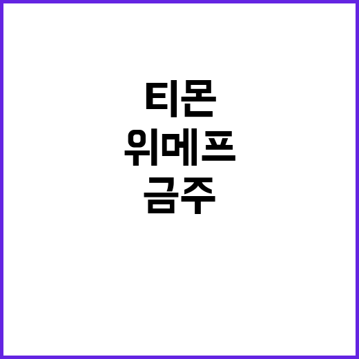 정부, 위메프·티몬…