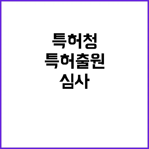 특허청 공정한 심사 과정을 통한 특허 출원!