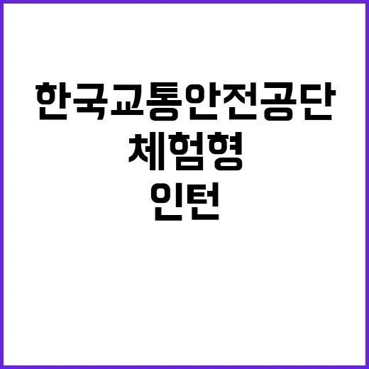 한국교통안전공단 전북본부 기간제근로자(청년인턴) 채용 공고