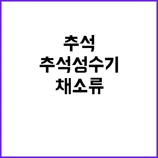 채소류 추석 성수기…