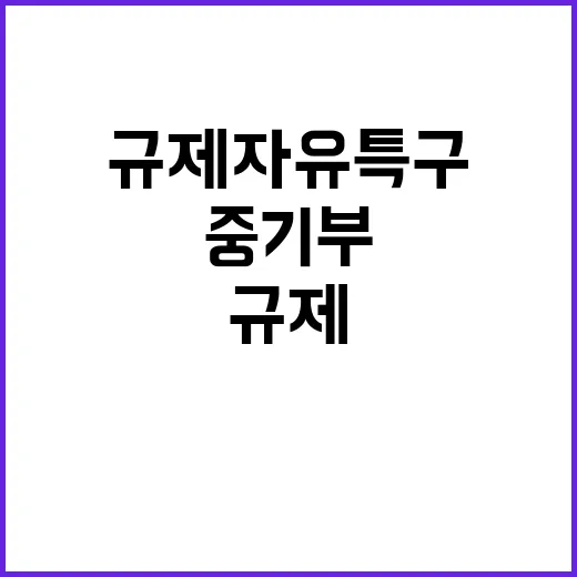 규제자유특구 중기부…