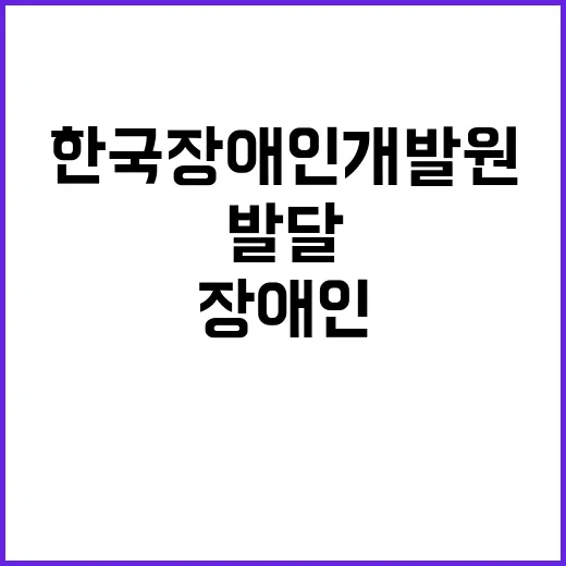 한국장애인개발원 비…