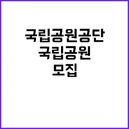 국립공원공단 비정규…