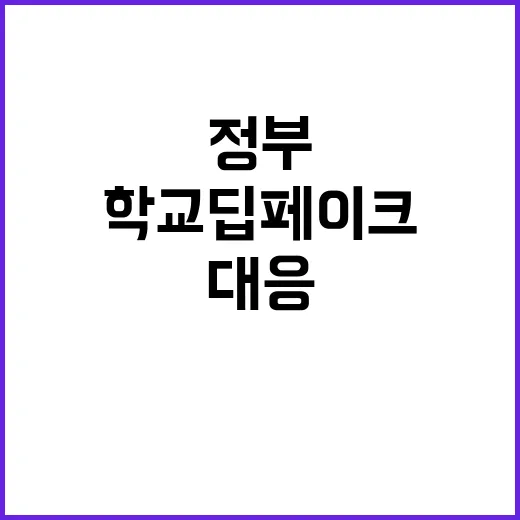 학교 딥페이크 정부…