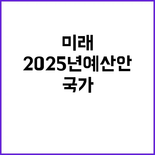 2025년 예산안 …