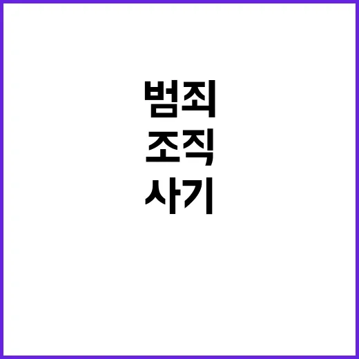 전세사기 조직 40개 적발 범죄집단 혐의!