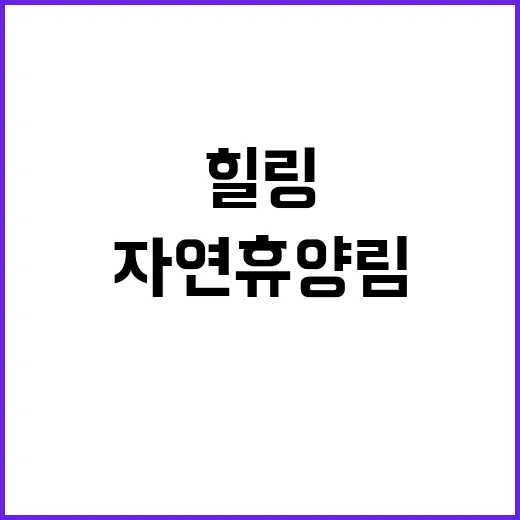 힐링 숲 추석 명절…