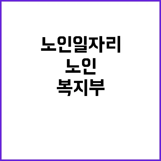 노인일자리 복지부 …