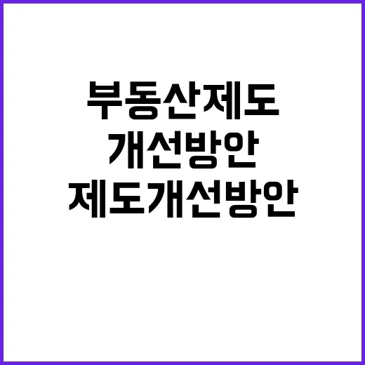 부동산 제도개선 방…