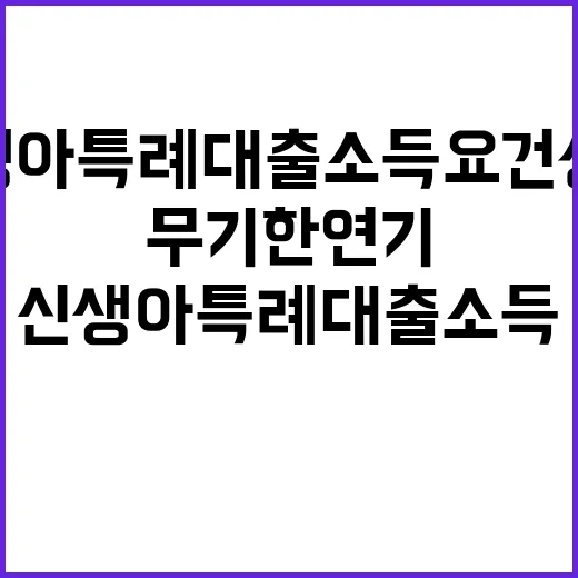 신생아특례대출 소득…