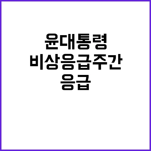 비상 응급 주간 국…