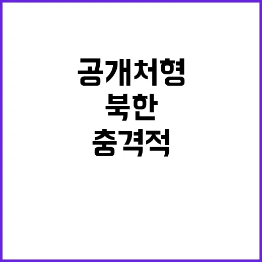 북한 공개처형 문체…