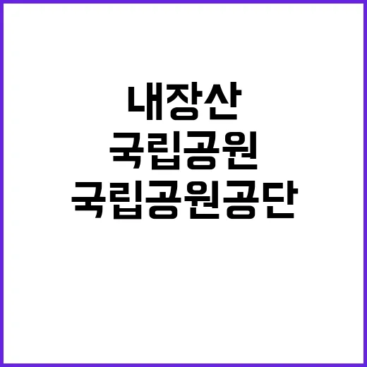 국립공원공단 비정규…