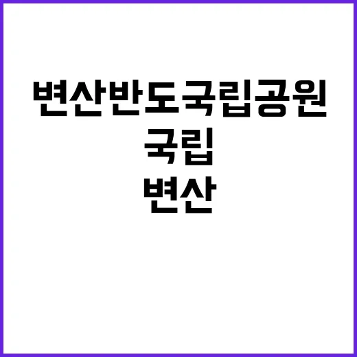 국립공원공단 비정규…