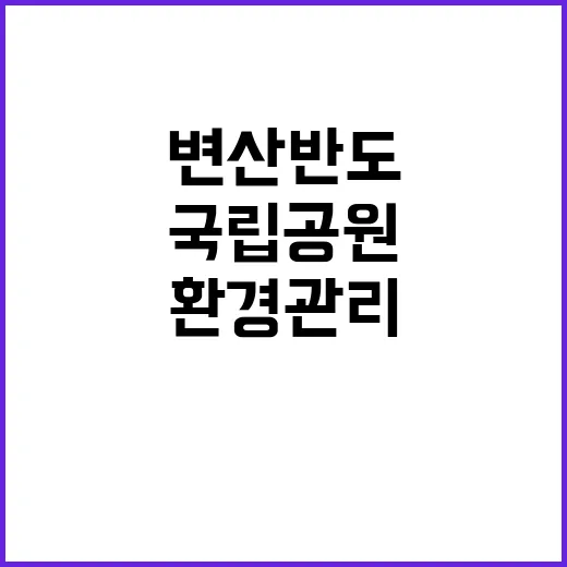 국립공원공단 비정규…