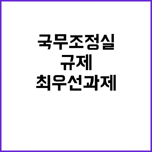 규제혁신 국무조정실의 최우선 과제 공개된다!