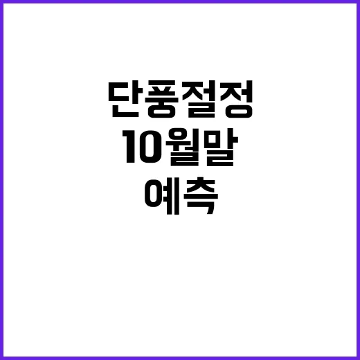 단풍 절정 10월 …