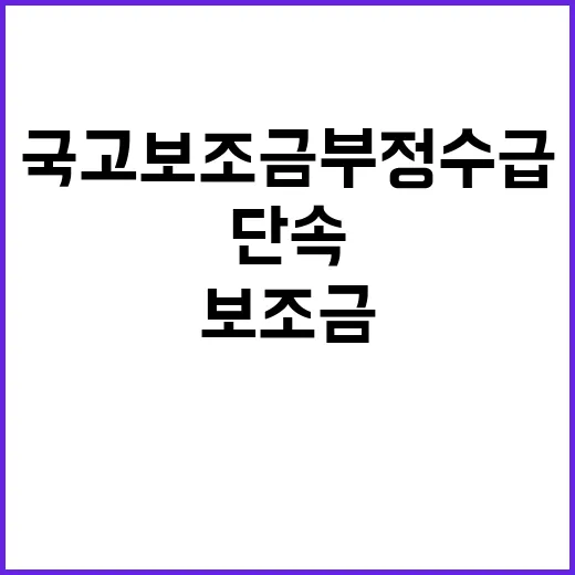 국고보조금 부정수급 정부의 강력한 단속 시작!