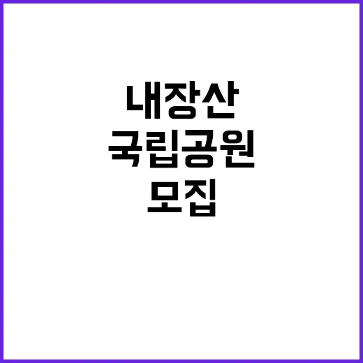 국립공원공단 비정규…