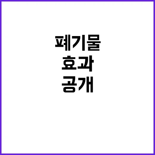 방치폐기물 환경부의 놀라운 감소 효과 공개!