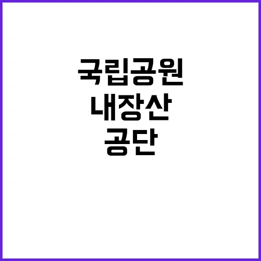 국립공원공단 비정규…