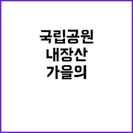 국립공원공단 비정규…