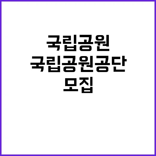 국립공원공단 비정규…