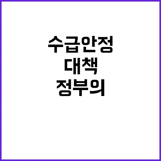 배추 수급 안정 비…