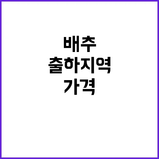 배추 가격 하락 농…