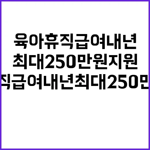 육아휴직급여 내년 최대 250만원 지원 소식!