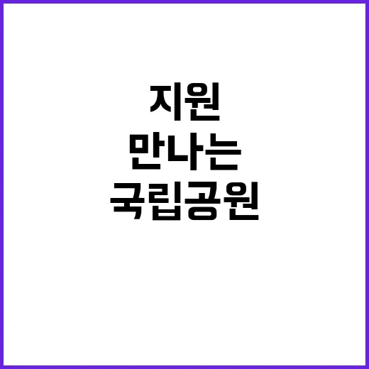 국립공원공단 비정규…