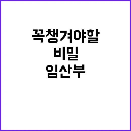 임산부 꼭 챙겨야 할 네 가지 비밀 공개!