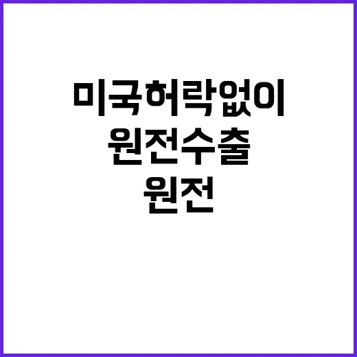 원전 수출 미국 허락 없이 가능성? 놀라운 사실!