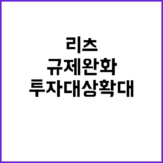 리츠 규제 완화와 …