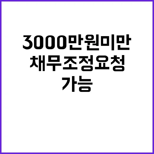 채무조정 요청 내일부터 3000만 원 미만 가능!